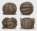 Collection of four muskmelon varieties, arranged symmetrically