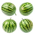 Collection of four whole watermelons with a patterned green rind, isolated on white background