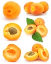 Collection of fresh apricot fruits isolated Royalty Free Stock Photo