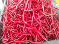 Collection of fresh Asian red chilies