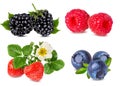 Collection of fresh berries isolated on white Royalty Free Stock Photo