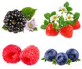 Collection of fresh berries isolated on white Royalty Free Stock Photo
