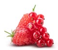 Collection of fresh berries. Raspberry, red currant, gooseberry. Royalty Free Stock Photo