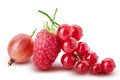 Collection of fresh berries. Raspberry, red currant, gooseberry. Royalty Free Stock Photo
