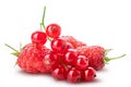 Collection of fresh berries. Raspberry, red currant, gooseberry. Royalty Free Stock Photo