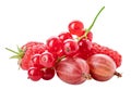 Collection of fresh berries. Raspberry, red currant, gooseberry. Royalty Free Stock Photo