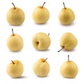 Collection of Fresh Chinese pear fruit isolated on white background with clipping path Royalty Free Stock Photo