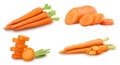 Collection of fresh clean carrots with stems, heap, ring slice Royalty Free Stock Photo