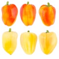 Collection of fresh colored peppers isolated on white background Royalty Free Stock Photo