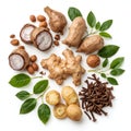 Collection of fresh ginger shallots cloves and nuts on white background Royalty Free Stock Photo