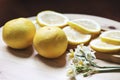Collection of fresh grapefruit slices on background. Rotation citrus fruit. Top view.