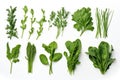 Collection of fresh herb leaves on white background