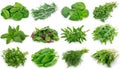 Collection of fresh herbs on white background Royalty Free Stock Photo