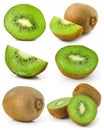 Collection of fresh kiwi fruits isolated