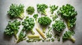 collection of fresh Mediterranean herbs parsley, chives and arugula leaves and chopped pieces over a gray background, cooking,