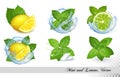 Collection of fresh mint and melissa leaves with lemon and lime in splash of water.