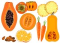 Collection of fresh orange color vegetables and fruits raw on white background Royalty Free Stock Photo