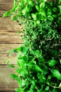 Collection of fresh organic herbs melissa, mint, thyme, basil, parsley on wooden background. Banner. Copy space Royalty Free Stock Photo