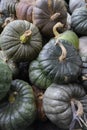Collection of fresh picked Pumpkins outdoors full frame as background
