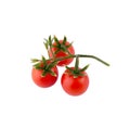 Collection fresh red tomato with green leaves, whole, cut in half, slice isolated on white background Clipping Path. Royalty Free Stock Photo