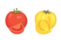 Collection of fresh red tomatoes and soup vector illustrations. Half, slice, cherry tomato. Royalty Free Stock Photo