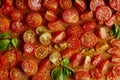 Collection of fresh summer tomatoes Royalty Free Stock Photo