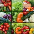 Collection fresh vegetables.Collage of vegetables. Juicy ripe vegetables . Healthy fresh food. Vegetarianism and veganism. Food