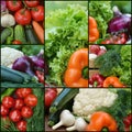 Collection fresh vegetables.Collage of vegetables. Juicy ripe vegetables . Healthy fresh food. Vegetarianism and veganism. Food