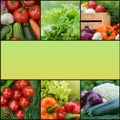 Collection fresh vegetables.Collage of vegetables. Juicy ripe vegetables . Healthy fresh food. Vegetarianism and veganism. Food