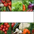 Collection fresh vegetables.Collage of vegetables. Juicy ripe vegetables . Healthy fresh food. Vegetarianism and veganism. Food