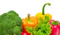 Collection fresh vegetables Royalty Free Stock Photo