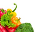 Collection fresh vegetables Royalty Free Stock Photo