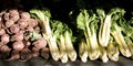 A collection of fresh vegitables including Turnips, Beetroot and