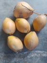 A collection of freshly picked young yellow coconuts Royalty Free Stock Photo