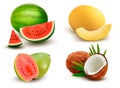 Collection of fruit and berries. Watermelon, honeydew, guava