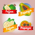 Collection fruit feijoa papaya badge Royalty Free Stock Photo