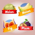 Collection fruit melon fig plum badge