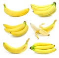 Collection of fruits banana isolated on white