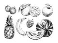 Collection fruits black white vector healthy food fresh vintage illustration