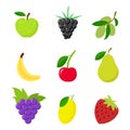 Collection of fruits and cherries. White background. Vector illustration. EPS 10