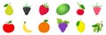 Collection of fruits and cherries. White background. Vector illustration. EPS 10