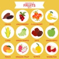 Collection of fruits set 4, food vector illustration, flat icon Royalty Free Stock Photo