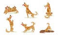 Collection of Funny Brown Dog in Different Situations Set, Cute Animal Character Playing, Barking, Digging Cartoon Royalty Free Stock Photo