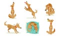 Collection of Funny Brown Dog in Different Situations Set, Cute Animal Character Playing, Sleeping, Howling Cartoon Royalty Free Stock Photo