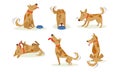 Collection of Funny Brown Dog in Different Situations Set, Cute Happy Animal Cartoon Character Vector Illustration Royalty Free Stock Photo