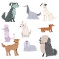Dogs set. Raster illustration in flat cartoon style Royalty Free Stock Photo