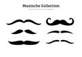 collection of funny mustache type vector illustration features el bandito, the wisp, english, and the tycoon moustache style Royalty Free Stock Photo