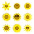 Collection of funny vector sunflowers on a white background Royalty Free Stock Photo