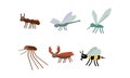 Collection of geometric insects set, mosquito, dragonfly, beetle deer, bee, vector Illustration on a white background Royalty Free Stock Photo