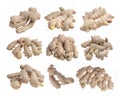 collection of ginger root Royalty Free Stock Photo